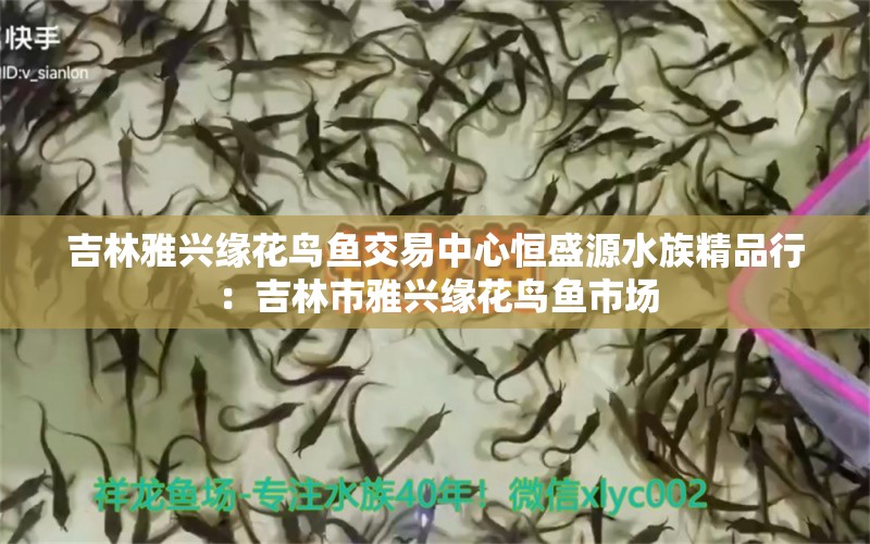 吉林雅興緣花鳥魚交易中心恒盛源水族精品行：吉林市雅興緣花鳥魚市場(chǎng) 全國(guó)水族館企業(yè)名錄