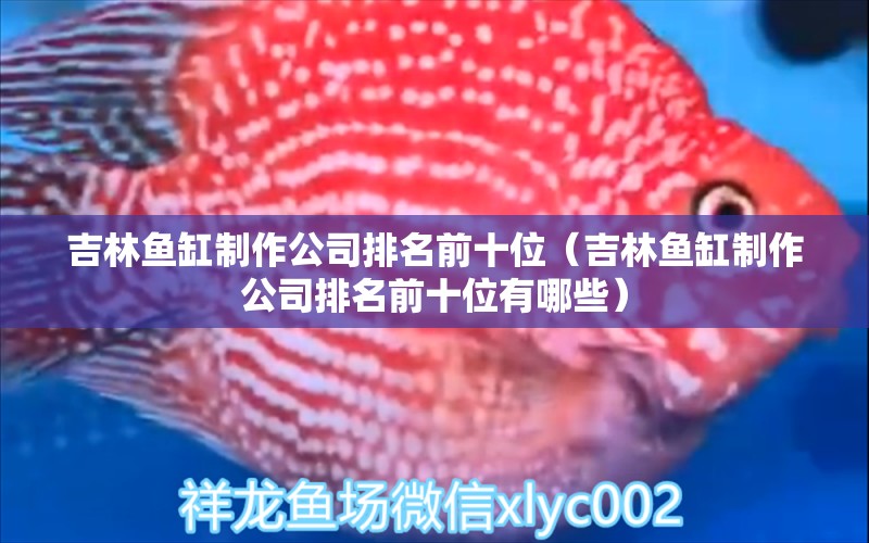 吉林魚缸制作公司排名前十位（吉林魚缸制作公司排名前十位有哪些）