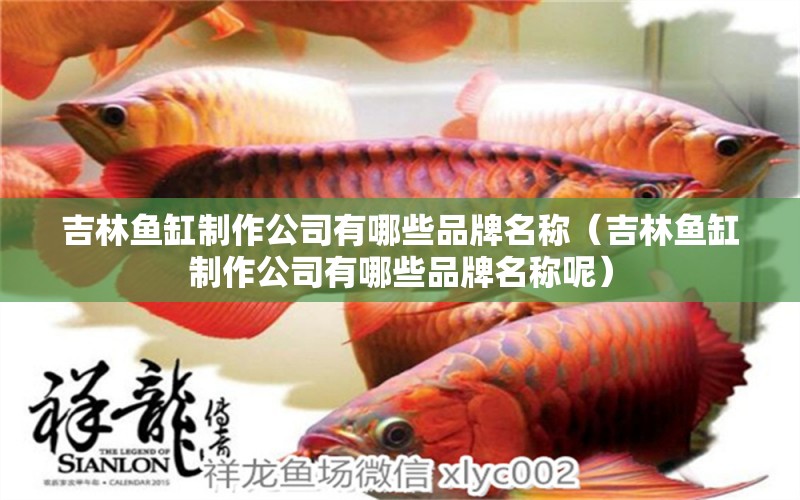 吉林魚缸制作公司有哪些品牌名稱（吉林魚缸制作公司有哪些品牌名稱呢） 祥龍水族醫(yī)院