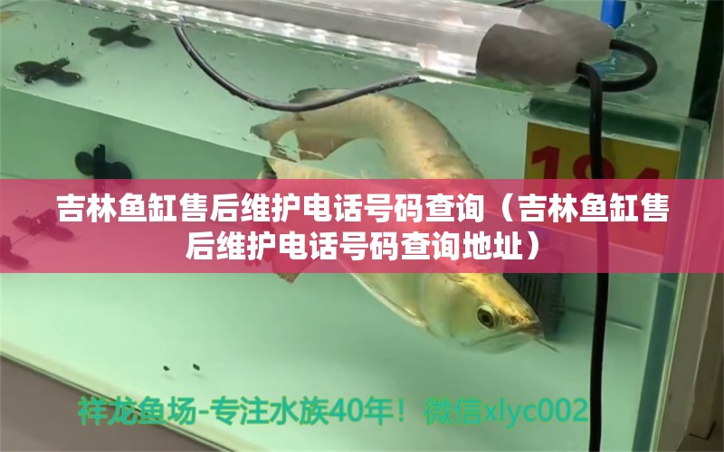 吉林魚缸售后維護電話號碼查詢（吉林魚缸售后維護電話號碼查詢地址）