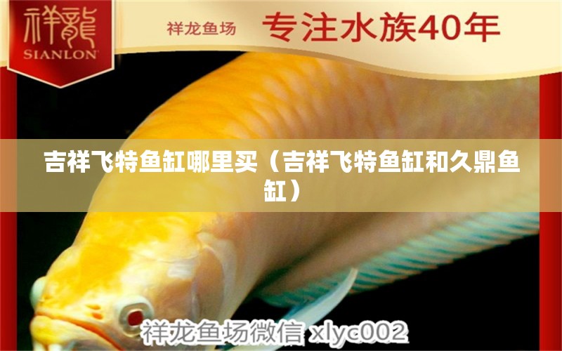 吉祥飛特魚缸哪里買（吉祥飛特魚缸和久鼎魚缸）