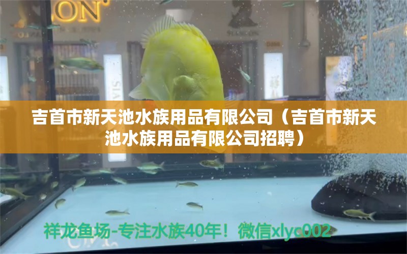 吉首市新天池水族用品有限公司（吉首市新天池水族用品有限公司招聘） 水族用品