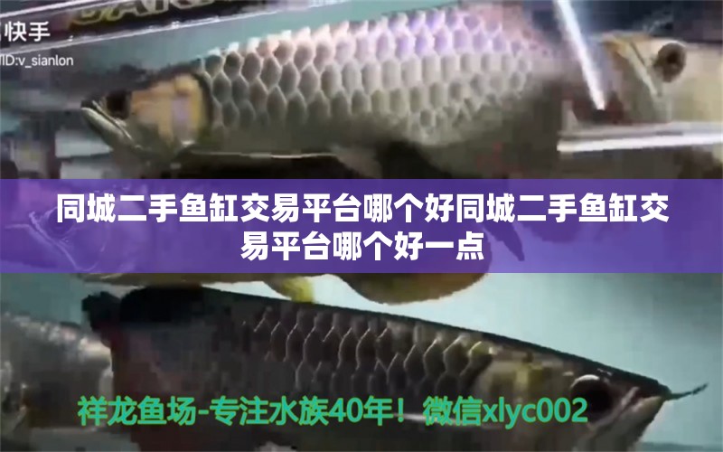 同城二手魚缸交易平臺哪個好同城二手魚缸交易平臺哪個好一點