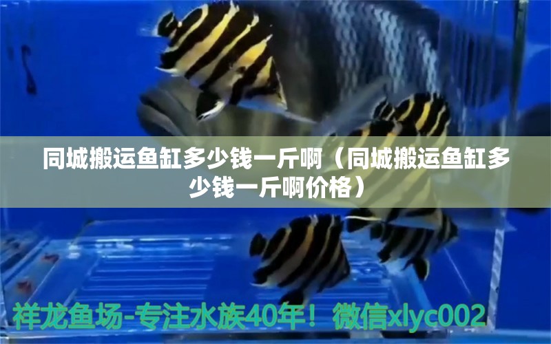 同城搬運魚缸多少錢一斤?。ㄍ前徇\魚缸多少錢一斤啊價格）