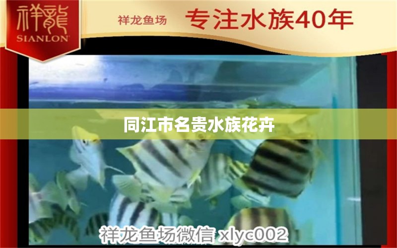 同江市名貴水族花卉 全國水族館企業(yè)名錄