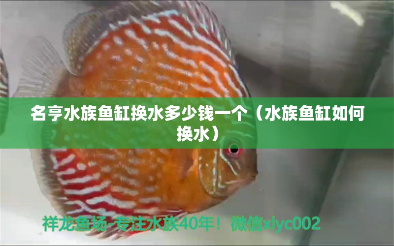 名亨水族魚(yú)缸換水多少錢一個(gè)（水族魚(yú)缸如何換水）