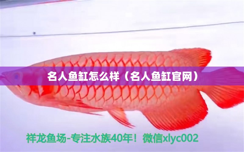 名人魚缸怎么樣（名人魚缸官網(wǎng)）