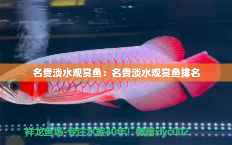 名貴淡水觀賞魚：名貴淡水觀賞魚排名