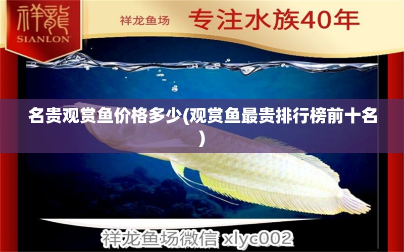 名貴觀賞魚價(jià)格多少(觀賞魚最貴排行榜前十名) 三間鼠魚苗