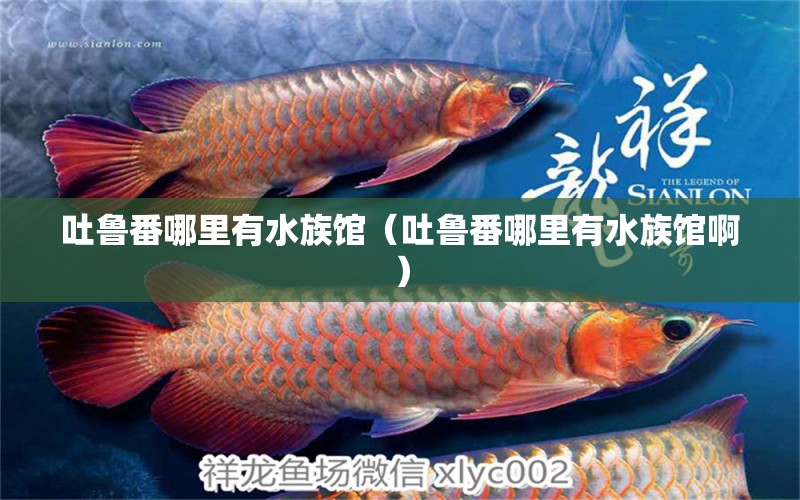 吐魯番哪里有水族館（吐魯番哪里有水族館?。? title=