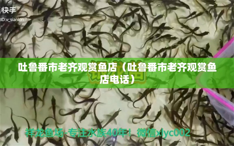 吐魯番市老齊觀賞魚店（吐魯番市老齊觀賞魚店電話）