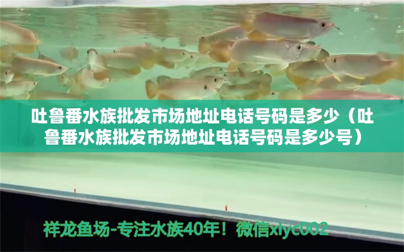 吐魯番水族批發(fā)市場(chǎng)地址電話號(hào)碼是多少（吐魯番水族批發(fā)市場(chǎng)地址電話號(hào)碼是多少號(hào)）