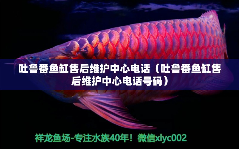 吐魯番魚缸售后維護(hù)中心電話（吐魯番魚缸售后維護(hù)中心電話號碼）