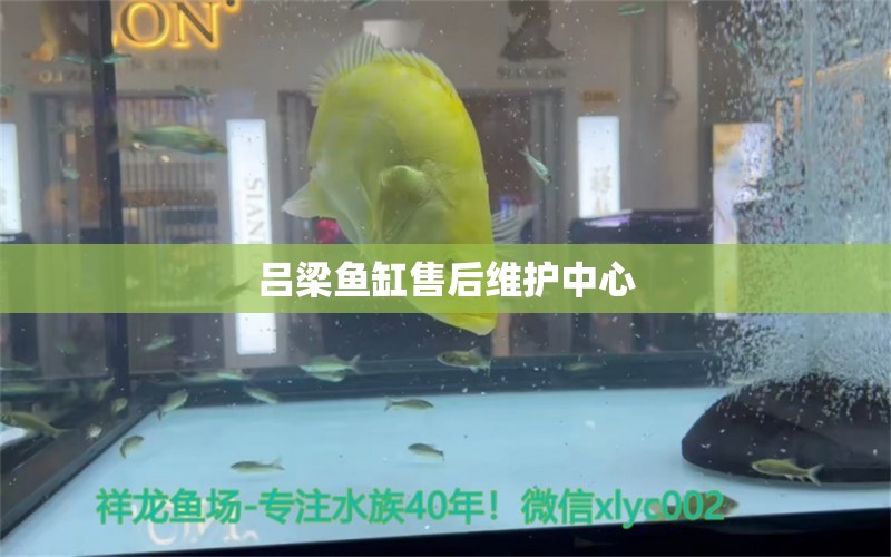 呂梁魚缸售后維護中心