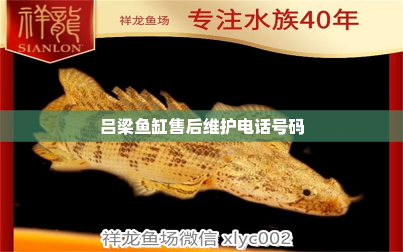 呂梁魚缸售后維護(hù)電話號(hào)碼 其他品牌魚缸