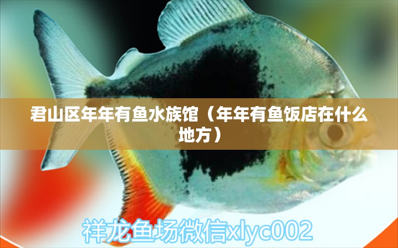 君山區(qū)年年有魚水族館（年年有魚飯店在什么地方）