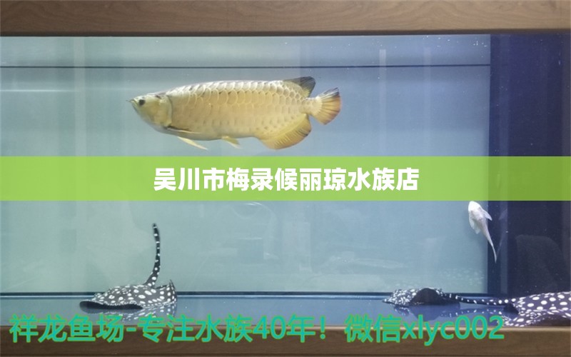 吳川市梅錄候麗瓊水族店 全國水族館企業(yè)名錄