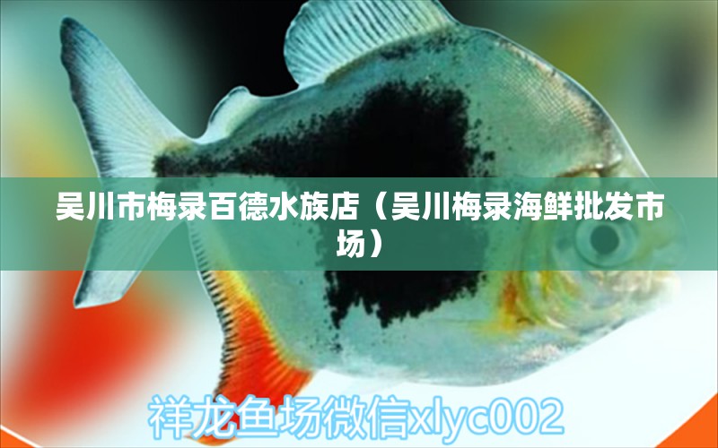 吳川市梅錄百德水族店（吳川梅錄海鮮批發(fā)市場(chǎng)）