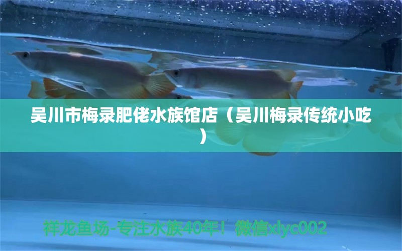 吳川市梅錄肥佬水族館店（吳川梅錄傳統(tǒng)小吃）