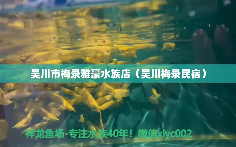 吳川市梅錄雅豪水族店（吳川梅錄民宿） 全國(guó)水族館企業(yè)名錄