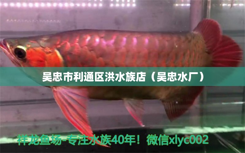 吳忠市利通區(qū)洪水族店（吳忠水廠）