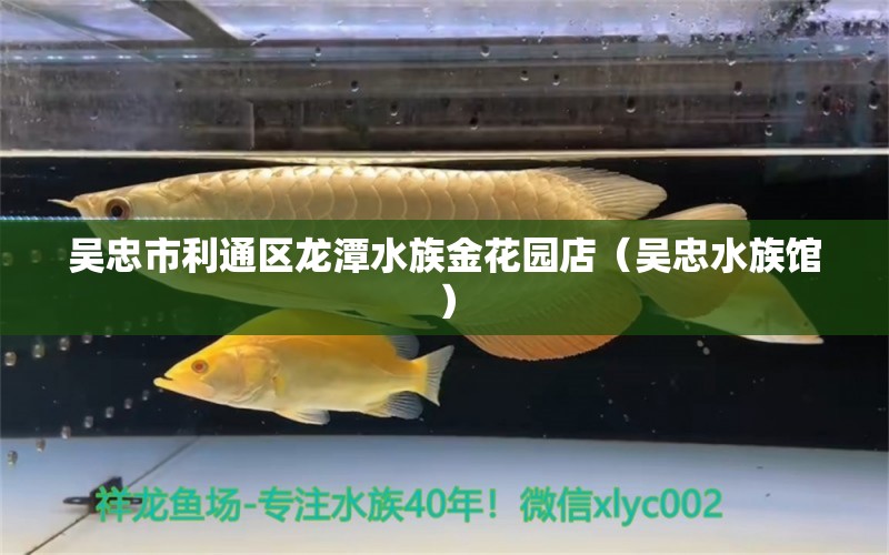 吳忠市利通區(qū)龍?zhí)端褰鸹▓@店（吳忠水族館） 全國水族館企業(yè)名錄