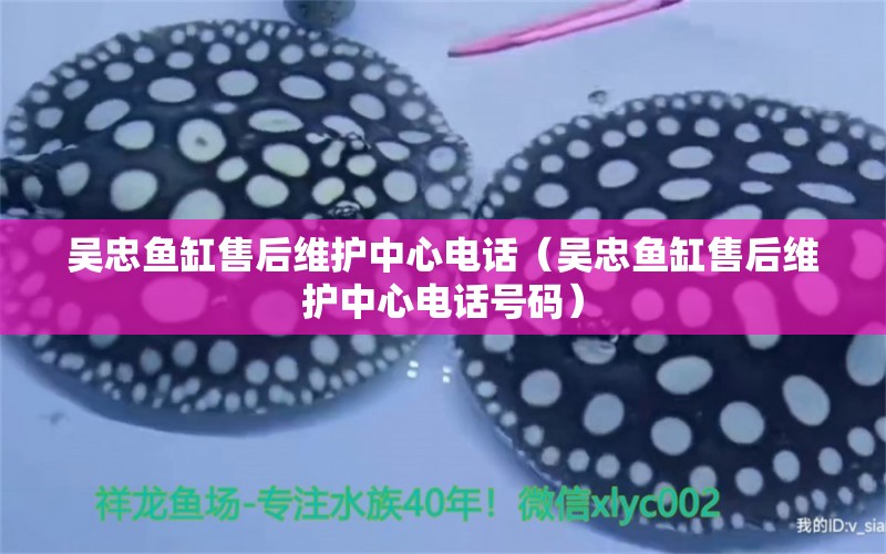 吳忠魚缸售后維護(hù)中心電話（吳忠魚缸售后維護(hù)中心電話號(hào)碼）