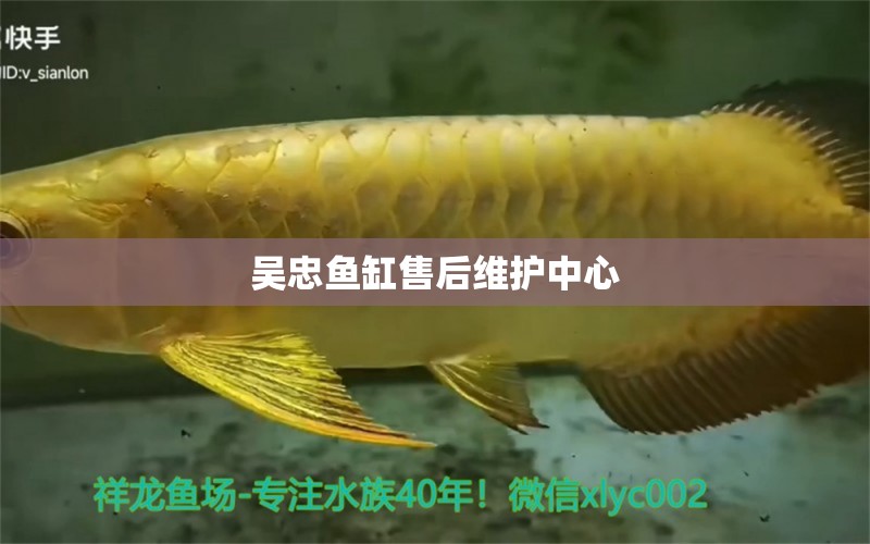 吳忠魚缸售后維護(hù)中心