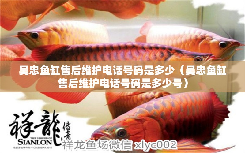 吳忠魚缸售后維護(hù)電話號(hào)碼是多少（吳忠魚缸售后維護(hù)電話號(hào)碼是多少號(hào)）