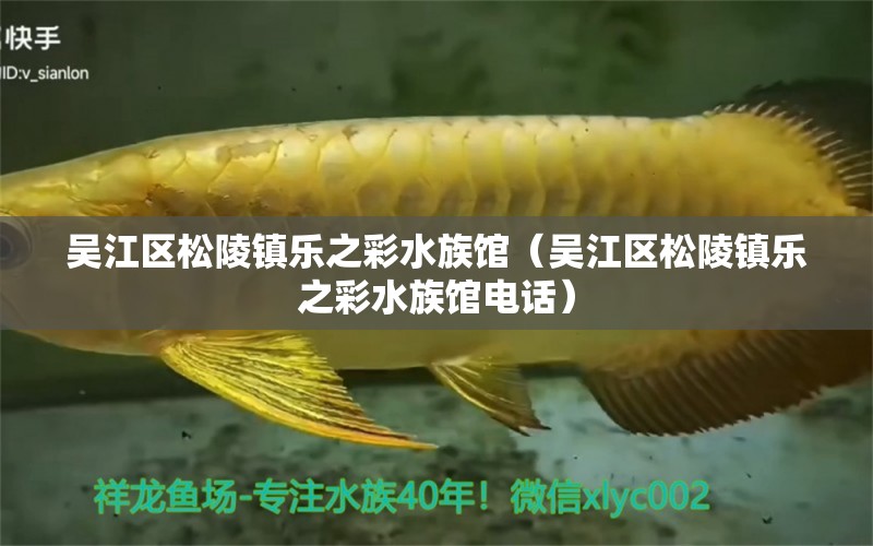 吳江區(qū)松陵鎮(zhèn)樂之彩水族館（吳江區(qū)松陵鎮(zhèn)樂之彩水族館電話） 全國水族館企業(yè)名錄