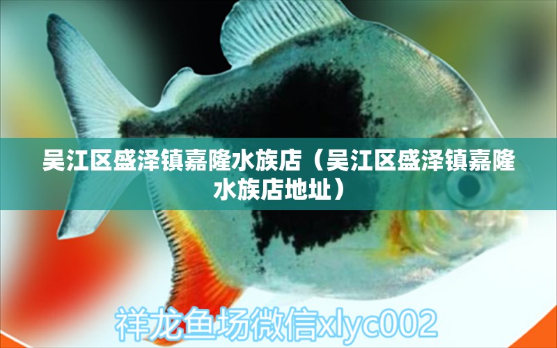 吳江區(qū)盛澤鎮(zhèn)嘉隆水族店（吳江區(qū)盛澤鎮(zhèn)嘉隆水族店地址）