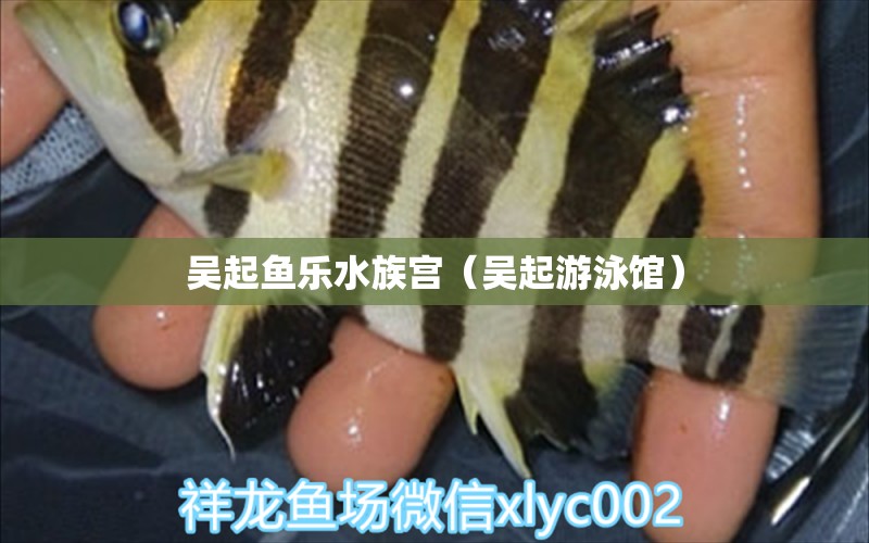 吳起魚樂水族宮（吳起游泳館）