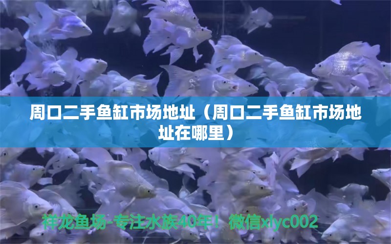 周口二手魚缸市場地址（周口二手魚缸市場地址在哪里） 祥龍魚場