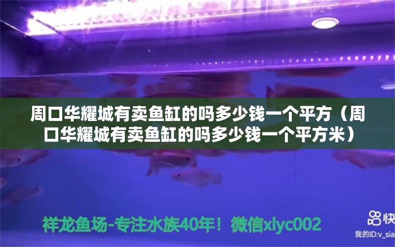 周口華耀城有賣魚(yú)缸的嗎多少錢一個(gè)平方（周口華耀城有賣魚(yú)缸的嗎多少錢一個(gè)平方米） 黃金斑馬魚(yú)