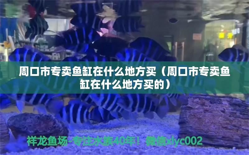 周口市專(zhuān)賣(mài)魚(yú)缸在什么地方買(mǎi)（周口市專(zhuān)賣(mài)魚(yú)缸在什么地方買(mǎi)的） 其他品牌魚(yú)缸