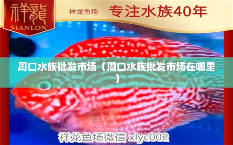 周口水族批發(fā)市場(chǎng)（周口水族批發(fā)市場(chǎng)在哪里）