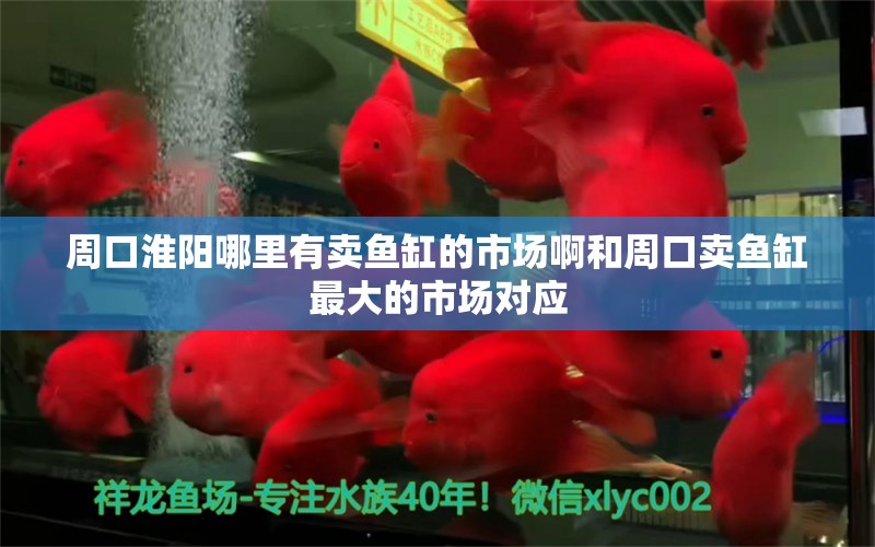 周口淮陽哪里有賣魚缸的市場啊和周口賣魚缸最大的市場對應(yīng)