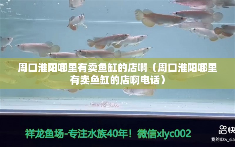 周口淮陽哪里有賣魚缸的店?。ㄖ芸诨搓柲睦镉匈u魚缸的店啊電話） 細線銀板魚苗