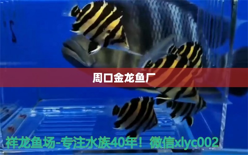 周口金龍魚廠