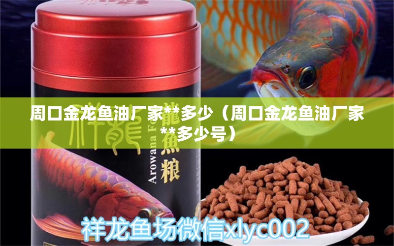 周口金龍魚油廠家**多少（周口金龍魚油廠家**多少號） 賽級紅龍魚