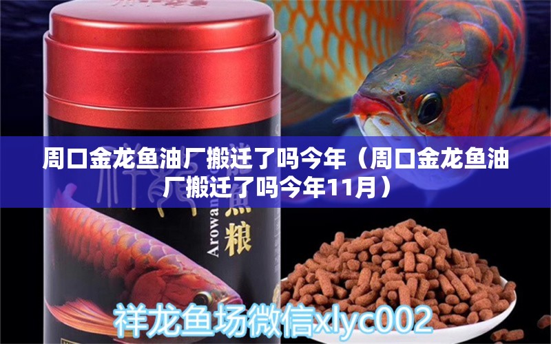 周口金龍魚(yú)油廠搬遷了嗎今年（周口金龍魚(yú)油廠搬遷了嗎今年11月）