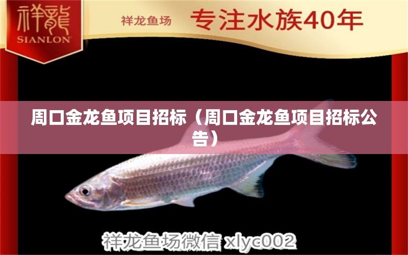 周口金龍魚項目招標（周口金龍魚項目招標公告）