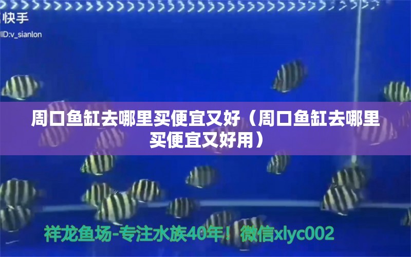 周口魚缸去哪里買便宜又好（周口魚缸去哪里買便宜又好用）