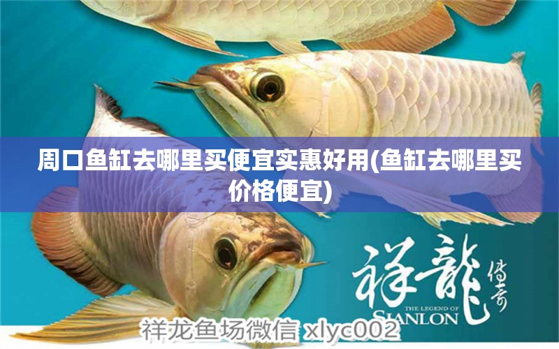 周口魚缸去哪里買便宜實惠好用(魚缸去哪里買價格便宜)