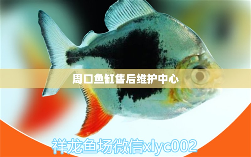 周口魚(yú)缸售后維護(hù)中心