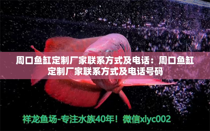 周口魚(yú)缸定制廠家聯(lián)系方式及電話：周口魚(yú)缸定制廠家聯(lián)系方式及電話號(hào)碼 觀賞魚(yú)市場(chǎng)（混養(yǎng)魚(yú)）