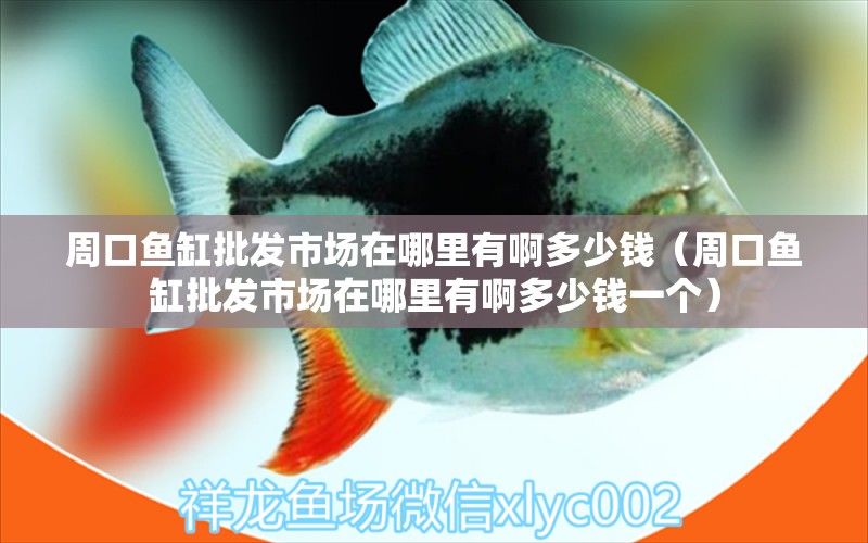 周口魚缸批發(fā)市場在哪里有啊多少錢（周口魚缸批發(fā)市場在哪里有啊多少錢一個） 祥龍水族醫(yī)院