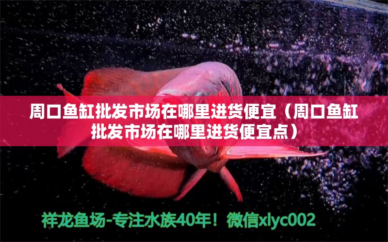 周口魚缸批發(fā)市場在哪里進(jìn)貨便宜（周口魚缸批發(fā)市場在哪里進(jìn)貨便宜點(diǎn)）