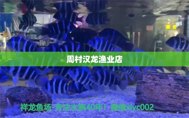 周村漢龍漁業(yè)店 全國(guó)水族館企業(yè)名錄