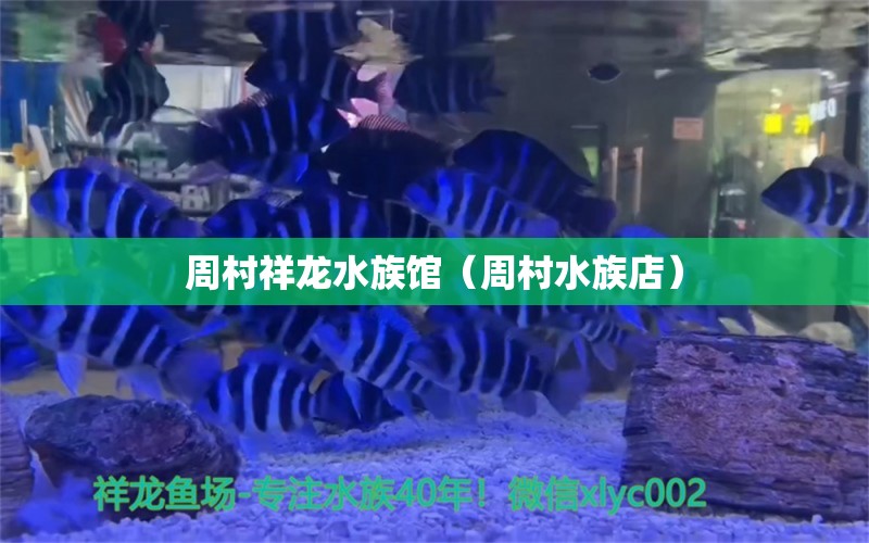 周村祥龍水族館（周村水族店）